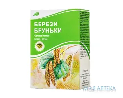 Берези бруньки бруньки 50 г пачка, з внутр. пакетом