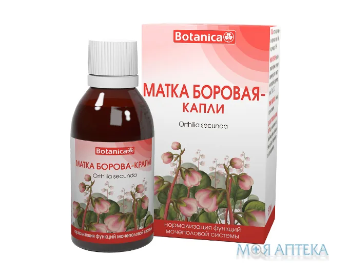 Матка Борова - Краплі 50 мл