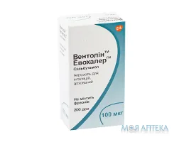 Вентолін Евохалер аер. д/інг. дозов. 100 мкг/доза балон 200 доз №1