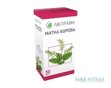 Матка Борова 50 г