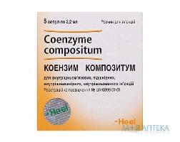 Коензим Композитум розчин д/ін. по 2,2 мл в амп. №5