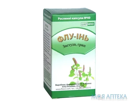 Флу-Інь капс. 500 мг №40
