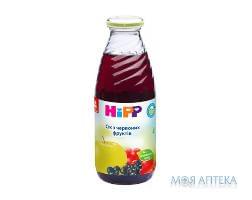 Сок HiPP (ХиПП) Из Красных Фруктов 0,5 л, с 4 мес.