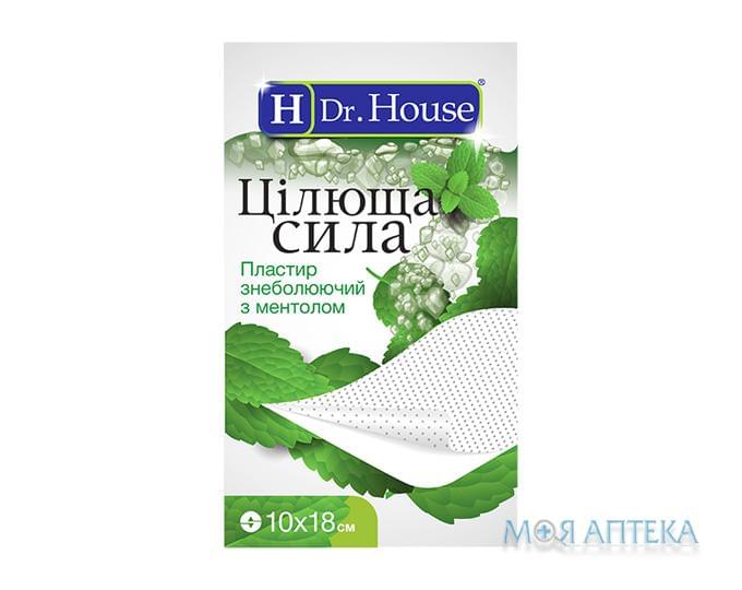 Пластыр обезболивающий с ментолом Dr. House (Доктор Хаус) Целебная Сила перфорированный 10 см х 18 см
