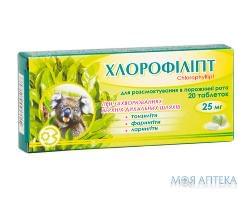 Хлорофиллипт таблетки по 25 мг №20 (10х2)