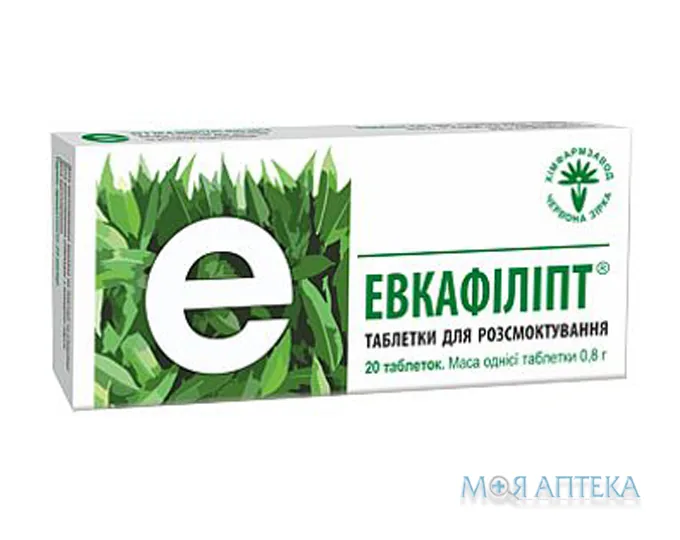Евкафіліпт табл. д/розсмоктування №20