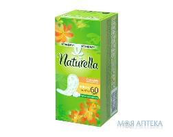 Щоденні прокладки Naturella Calendula (Натурелла Календула) Normal №60