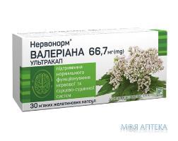 Нервонорм Валериана Ультракап 66,8 мг капсулы №30