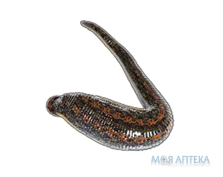 П`явка медична №1