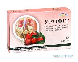 Урофіт, капсули 500 мг, добавка дієтична,  по 20 капсул у блістері, по 2 блістери в упаковці