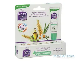 Боро Плюс Зволожуючий бальзам для губ Ароматна м`ята, 10 г