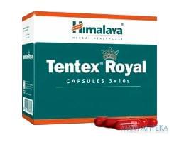Тентекс Роял капсулы для улучшения функции мочеполовой системы у мужчин упаковка 30 шт