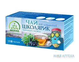 Чай трав`яний Школярик з чорницею та мелісою фільтр-пакет по 2 г №30