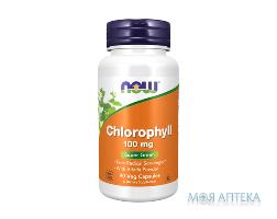 Хлорофилл улучшает качество кожи нормализуя pH-баланс NOW (Нау) капсулы по 100 мг упаковка 90 шт