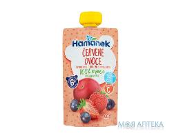 Пюре фруктовое детское HAMANEK (Хаманек) Яблоко, черника и клубника пауч 100 г