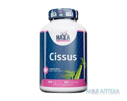 Haya Labs (Хайя Лабс) Циссус капс. 500 мг №100