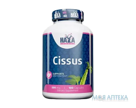 Haya Labs (Хайя Лабс) Циссус капс. 500 мг №100