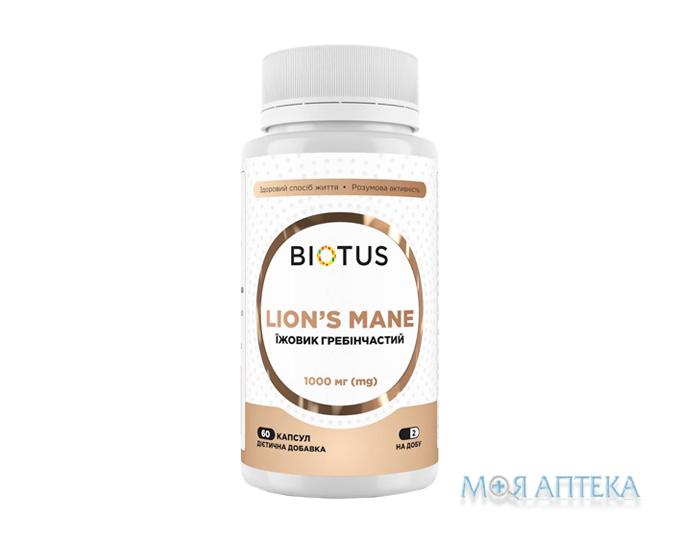 Biotus (Биотус) Ежовик капсулы №60