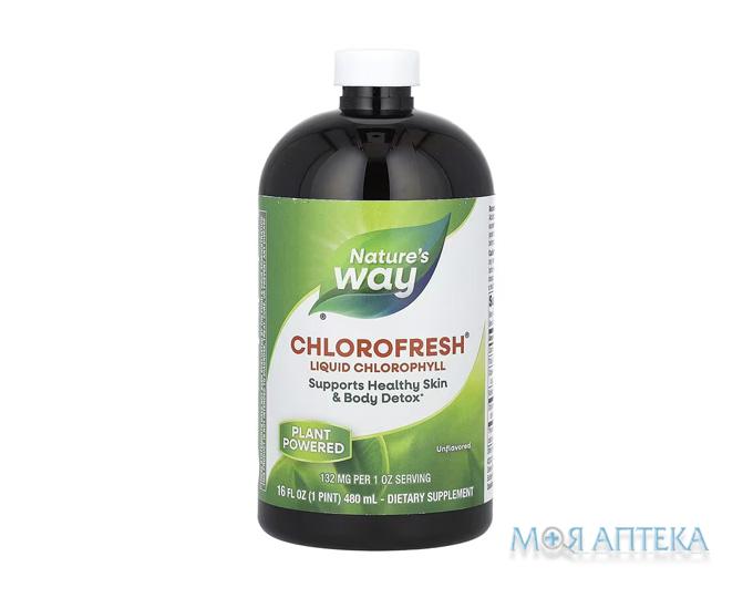 Натурес Вей (Nature`s Way) Хлорофіл рідкий без смаку 480 мл