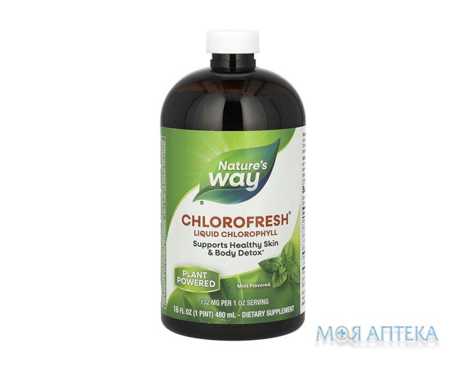 Натурес Вей (Nature`s Way) Хлорофіл рідкий м`ятний смак 480 мл