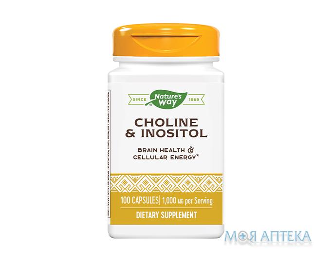 Натурес Вей (Nature`s Way) Холін і Інозитол капсули №100