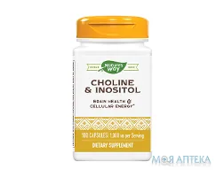 Натурес Вей (Nature`s Way) Холін і Інозитол капсули №100