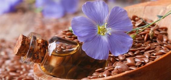 Лен, льняное семя и льняное масло: полезные свойства и использование в народной медицине