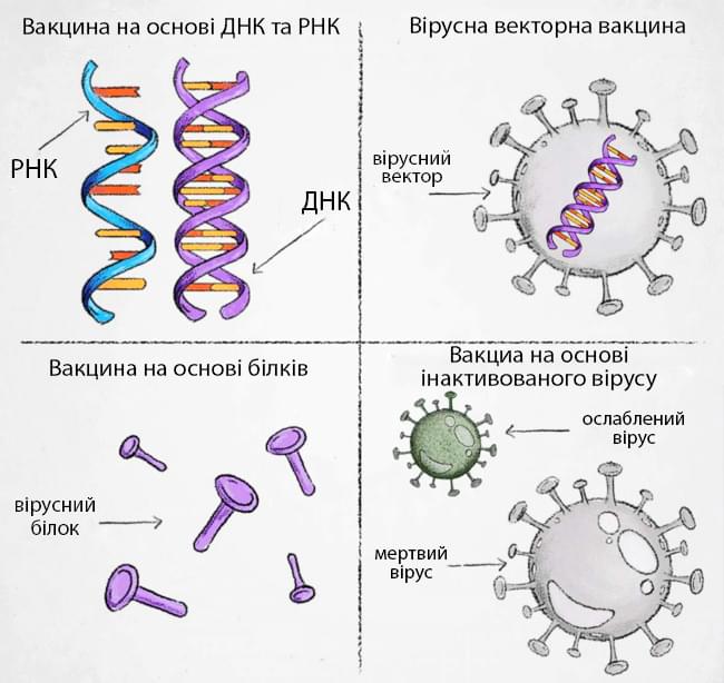 виды вакцин от ковид 19