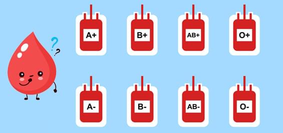 О чем может рассказать ваша группа крови?