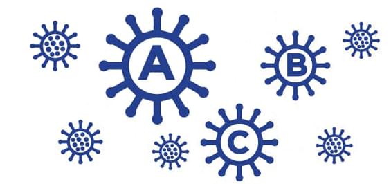 Алфавит вирусов гриппа: типы А, B, C