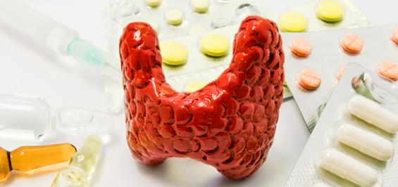 Щитовидная железа противопоказания лекарств thumbnail
