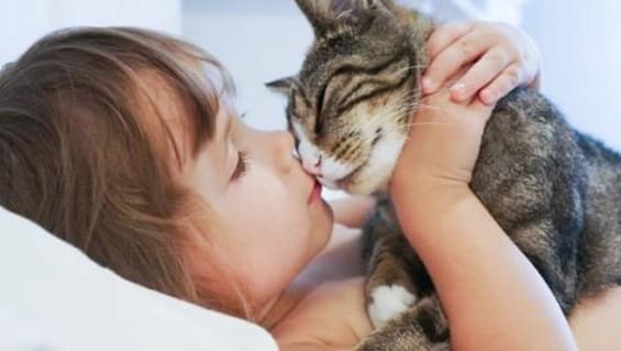 вплив кішок на дітей